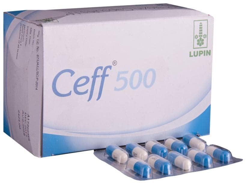 Ceff 500 Capsule