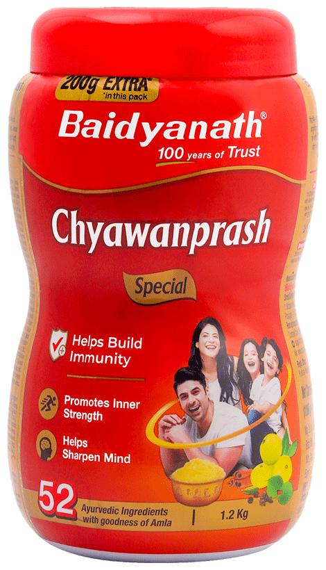 Baidyanath Ayurved Chyawanprash Special