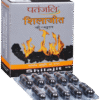 Patanjali Ayurveda Shilajit Capsule