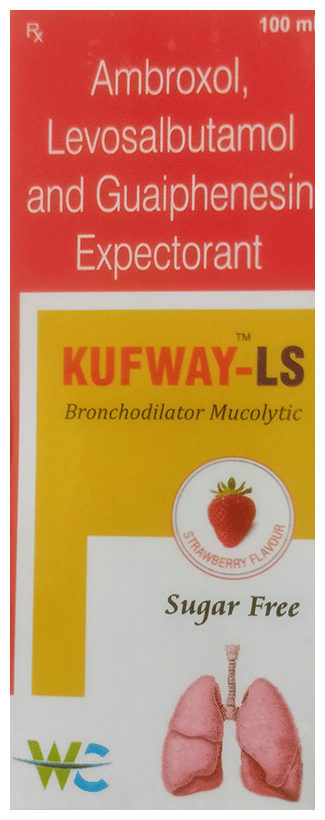 Kufway-LS Syrup Strawberry Sugar Free
