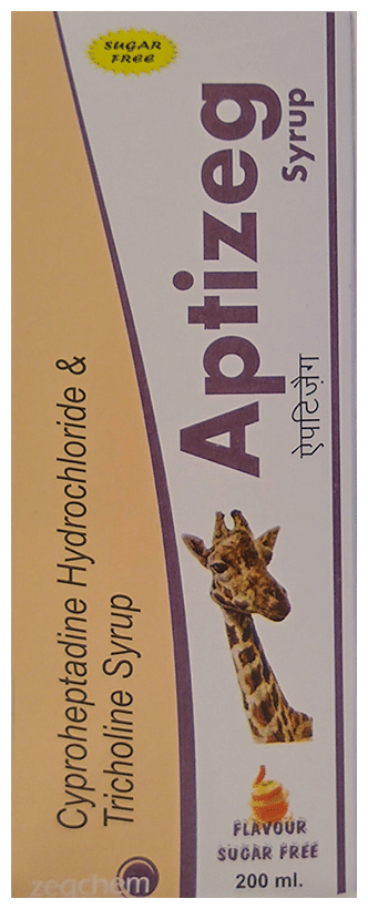 Aptizeg Syrup Orange Sugar Free