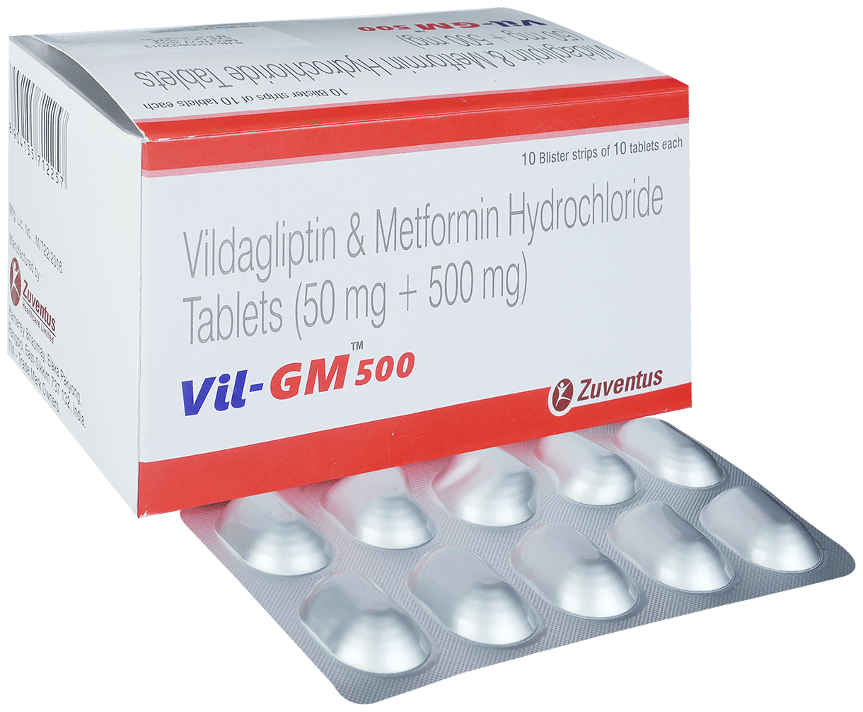 Vil-GM 500 Tablet