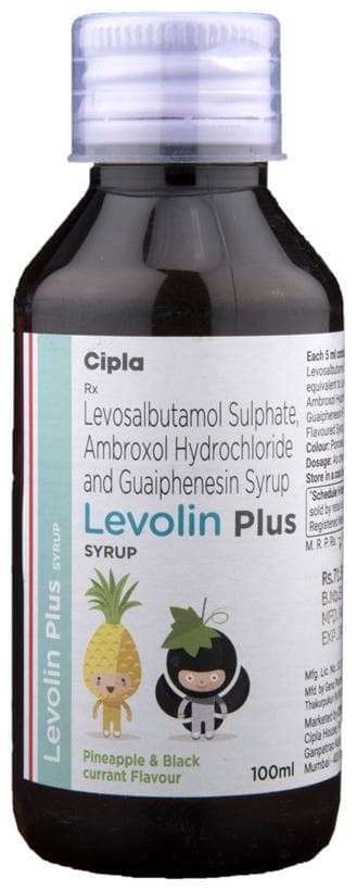Levolin Plus Syrup Pineapple & Black currant