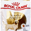 Royal Canin Labrador Retriever Pet Food Adult