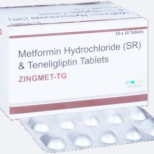 Zingmet-TG Tablet SR