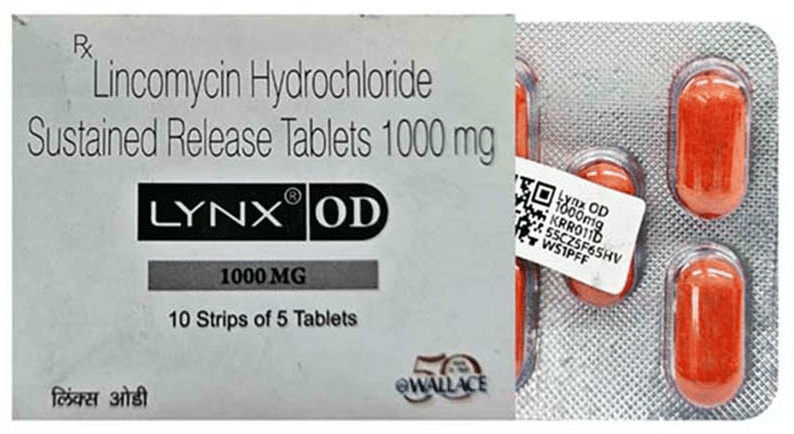 Lynx OD 1000mg Tablet