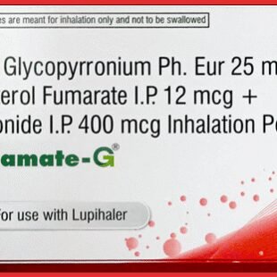 Budamate-G Capsule